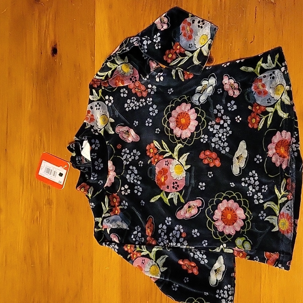Toddler velvet top